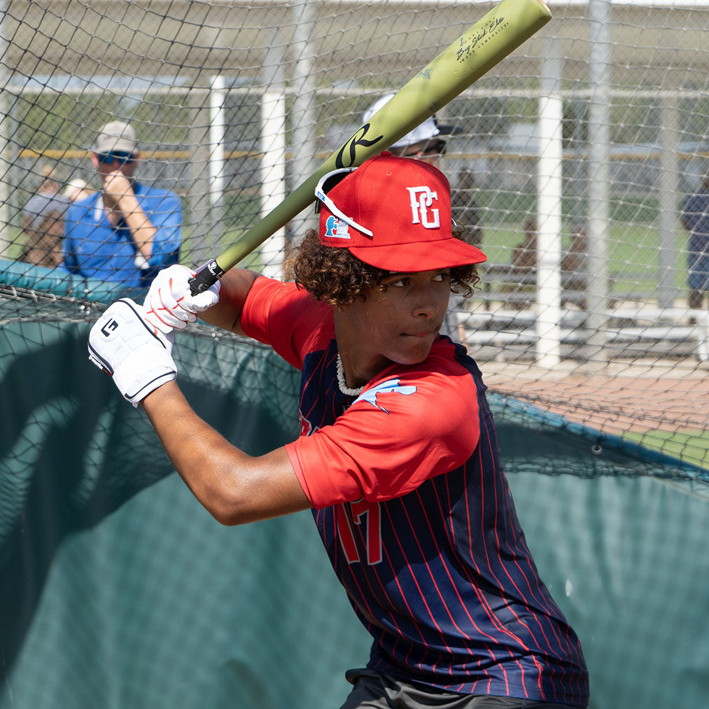 Elite Baseball Hand Guard