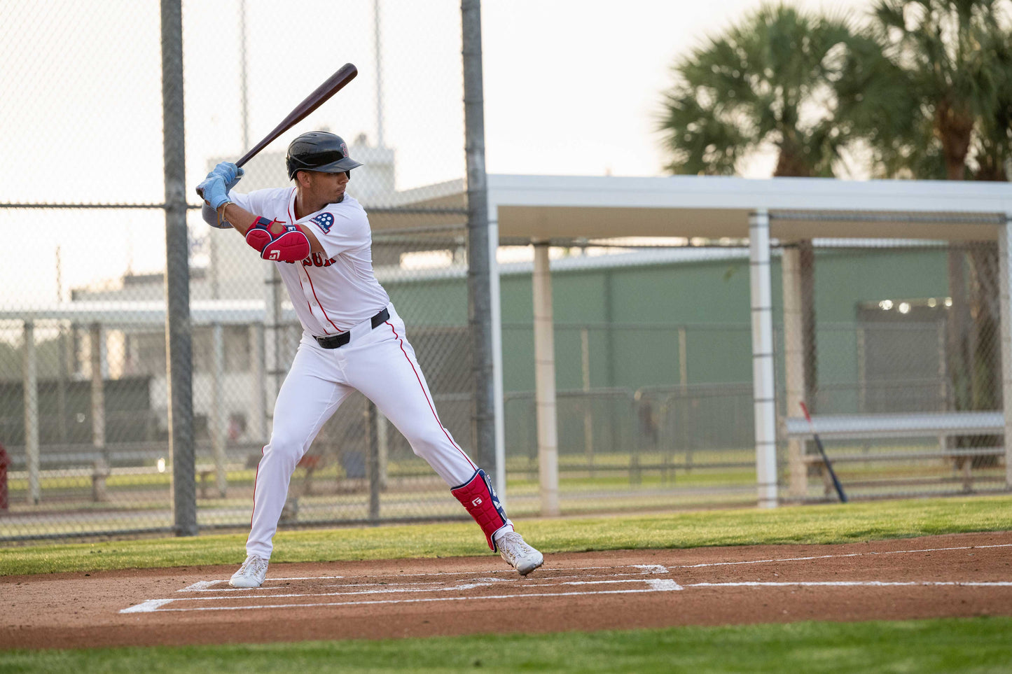Elite Baseball Batter's Leg Guard (Youth)